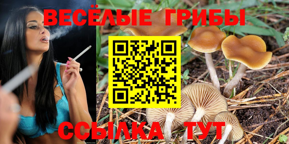 Псилоцибиновые грибы MAGIC MUSHROOMS Нововоронеж