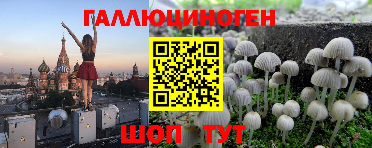 Псилоцибиновые грибы MAGIC MUSHROOMS  купить   Нововоронеж  Вход с VPN 